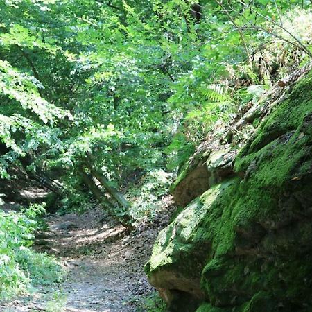 Gaestezimmer Rolea Dürnstein Dış mekan fotoğraf