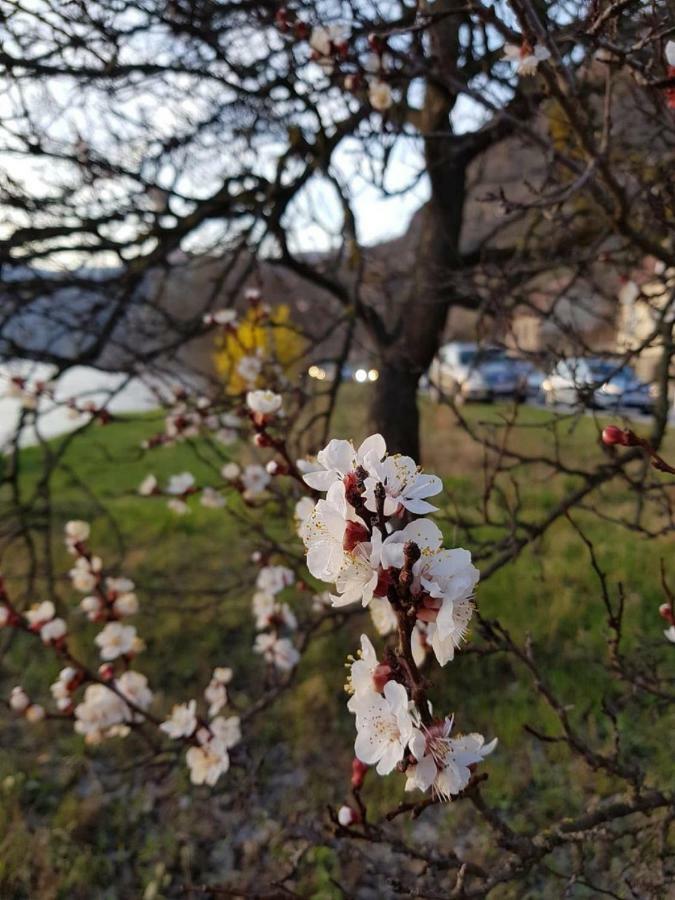 Gaestezimmer Rolea Dürnstein Dış mekan fotoğraf