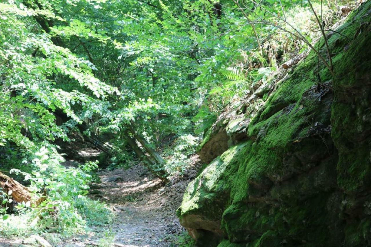 Gaestezimmer Rolea Dürnstein Dış mekan fotoğraf